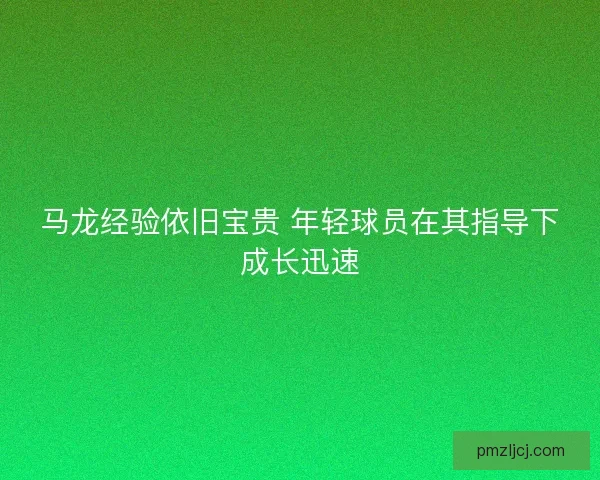 马龙经验依旧宝贵 年轻球员在其指导下成长迅速